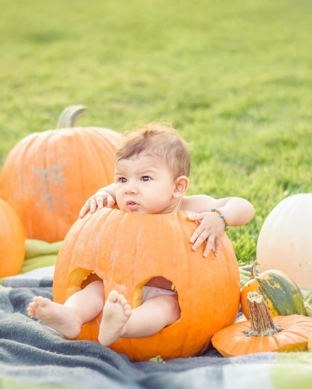 baby in pumpkin - Wonderful World of Bree